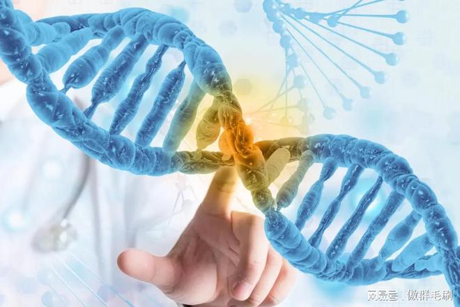 刷” 出生物医药领域洁净新高度冰球突破傲群医疗器械清洁刷：“