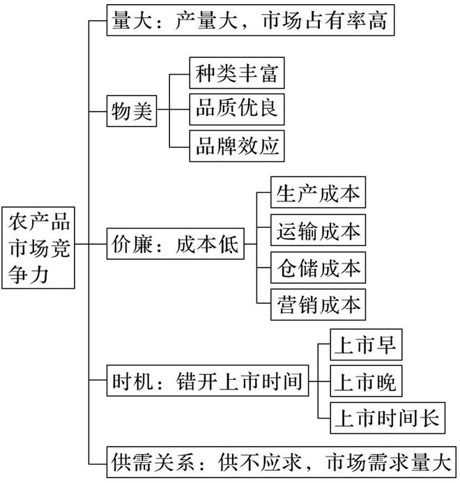 二轮微专题22 市场竞争力冰球突破2025高考地理(图11)