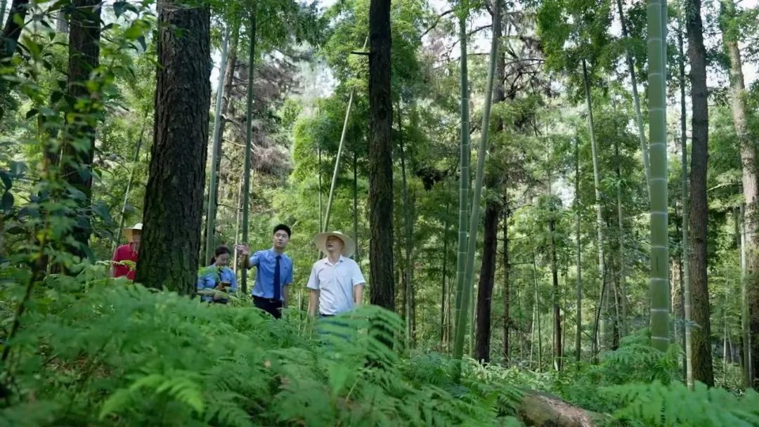 效履行法律监督职责“浙”里看见美丽中国冰球突破深入学习贯彻习法治思想 高质(图9)