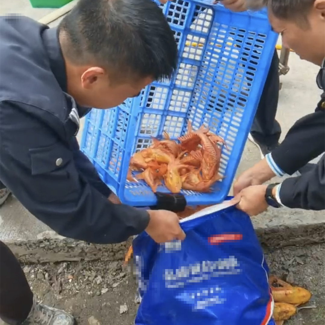 效履行法律监督职责“浙”里看见美丽中国冰球突破深入学习贯彻习法治思想 高质(图7)