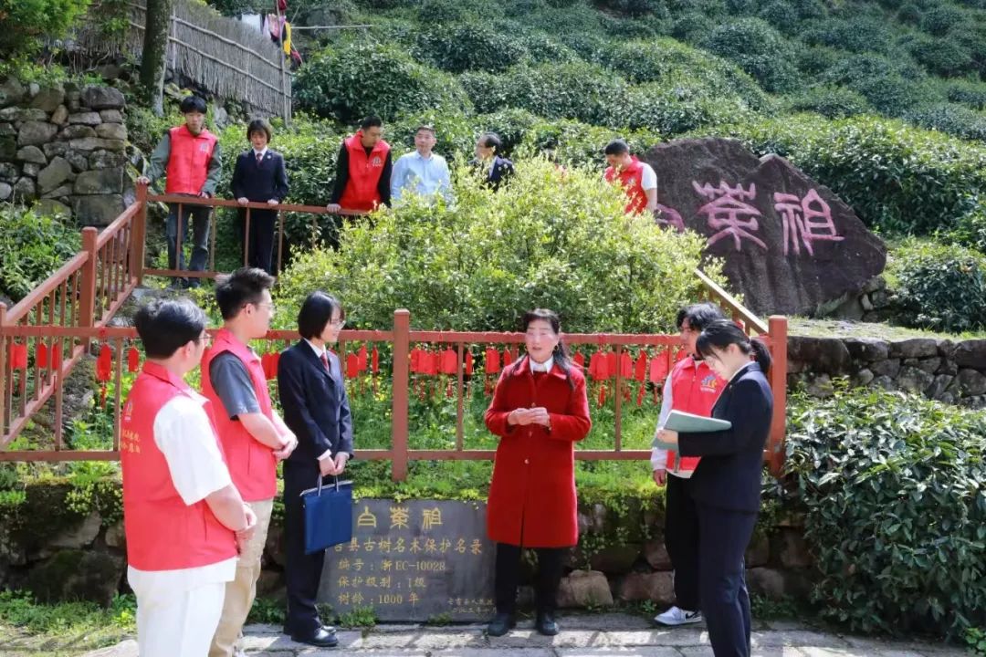效履行法律监督职责“浙”里看见美丽中国冰球突破深入学习贯彻习法治思想 高质(图10)